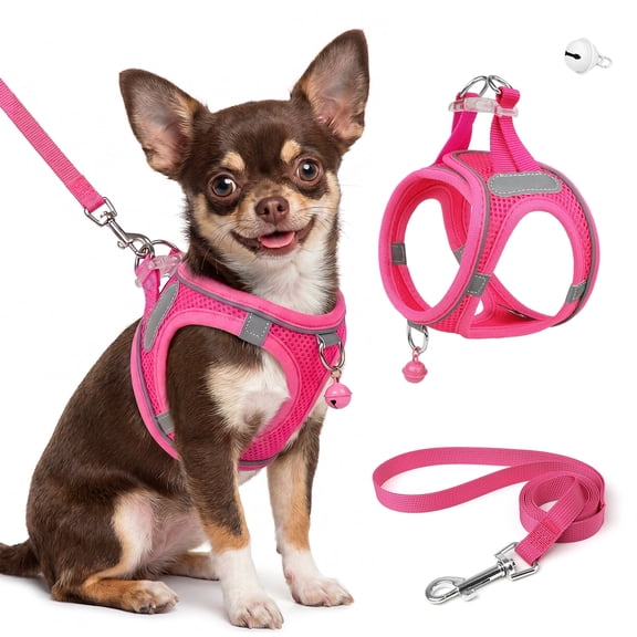 MASBRILL Cat & Dog Harness and Leash Set, Reflective Escape-Proof No-Pull Soft Vest, Easy to Wear for Walking, Traveling, Includes Pet Bells