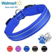 Unchewable dog collar outlet
