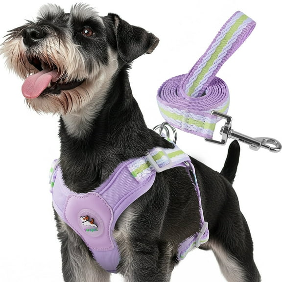 MASBRILL Dog Harness and Leash Set No Pull with Safety Lock, Adjustable Puppy Soft Vest, X-Shaped Pet Harness for Small Dog,Purple,S
