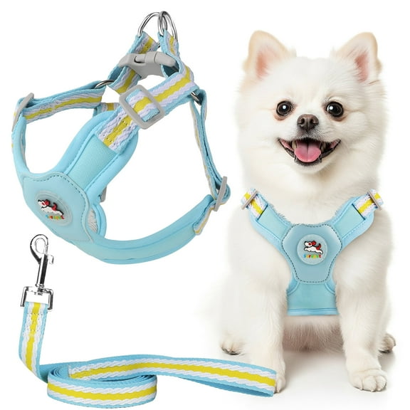 MASBRILL Dog Harness and Leash Set No Pull with Safety Lock, Adjustable Puppy Soft Vest, X-Shaped Pet Harness for Small Dog,Blue,XS