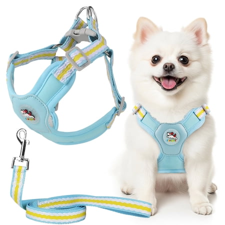 MASBRILL Dog Harness and Leash Set No Pull with Safety Lock, Adjustable Puppy Soft Vest, X-Shaped Pet Harness for Small Dog,Blue,M