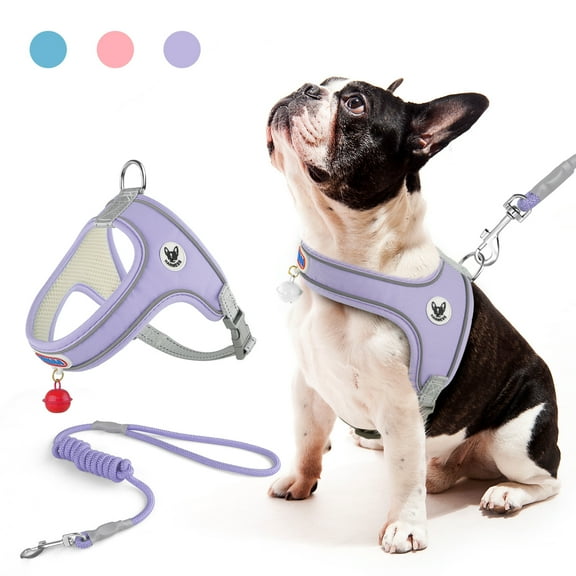 MASBRILL Cat & Dog Harness with Leash, Reflective Escape-Proof No-Pull Soft Vest, Easy to Wear for Walking, Traveling, Includes Pet Bells