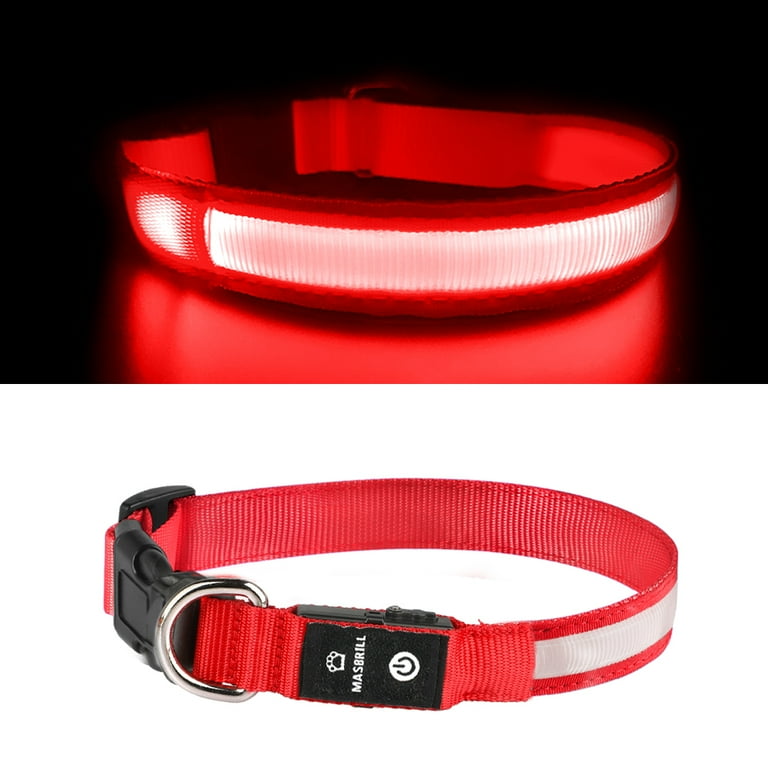Flash dog collar hotsell