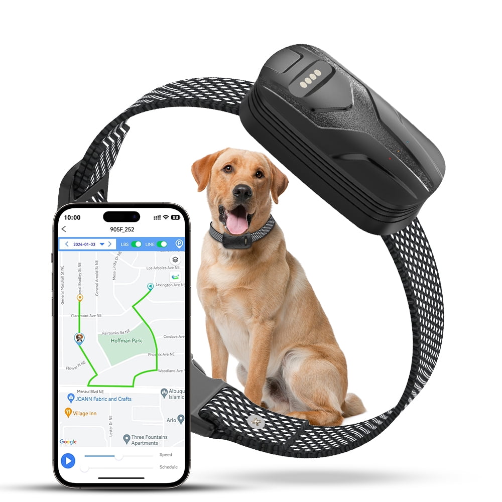 For Dogs Sprint Tracker Dog Collar Huntloc Sprint Dog Tracker Gps