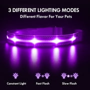 MASBRILL Glowing LED Dog Collar, Night Walking Light Dog Collar, Waterproof and USB Rechargeable for Small Medium Large Dogs Flashing Collar Purple-XS