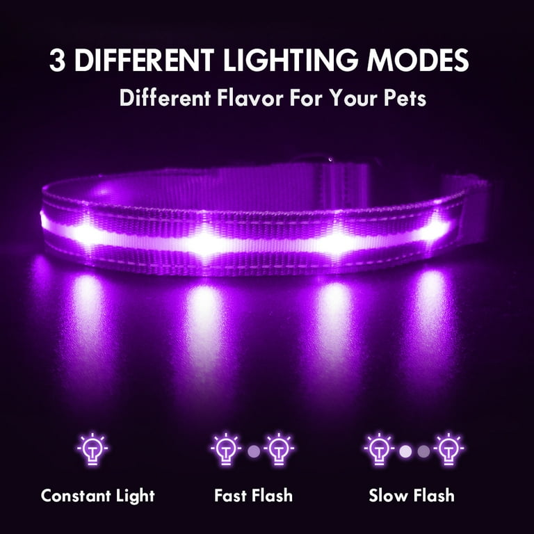 Purple led dog collar hotsell
