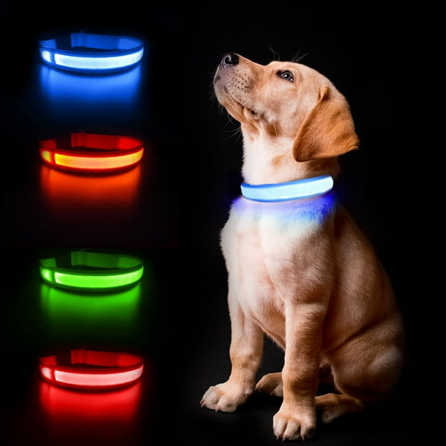 MASBRILL LED Dog Collars Flashing Light Up Dog Collar Rechargeable and