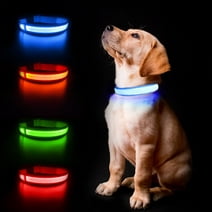 MASBRILL LED Dog Collars Flashing Light Up Dog Collar Rechargeable and Safety Night Glowing Dog Collar for Small Medium Large Dogs Blue-S