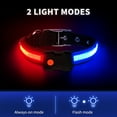 MASBRILL LED Light Up Dog Collar 1,000 Feet of Visibility Brightest