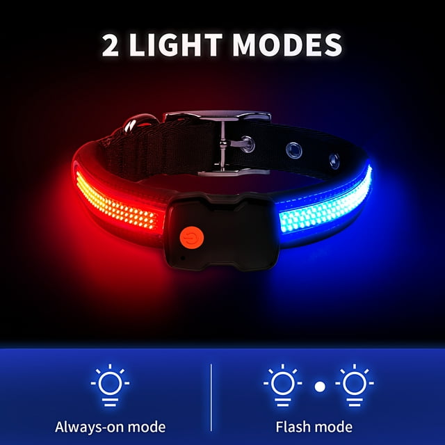 MASBRILL LED Light Up Dog Collar 1,000 Feet of Visibility Brightest