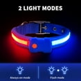 MASBRILL LED Light Up Dog Collar 1,000 Feet of Visibility Brightest