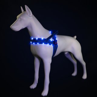 Rechargeable LED Dog Harness - Light Up Safety Vest