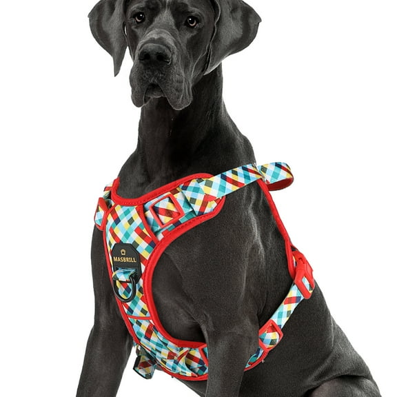 MASBRILL No Pull Dog Harness, Reflective Dog Vest with Handle No Choke Soft Padded Dog Harness for Small Dog