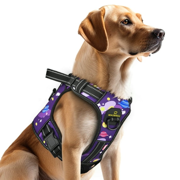 MASBRILL No Pull Dog Harness, Reflective Dog Vest with Handle No Choke Soft Padded Dog Harness for Small Medium Large Dogs
