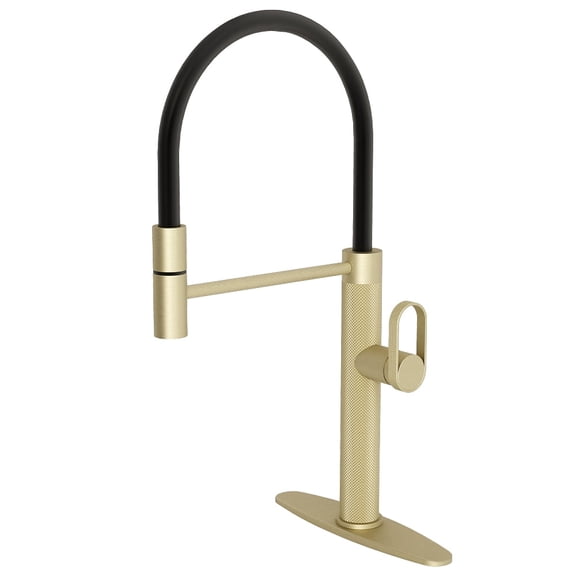 MASO Pull-Out Kitchen Faucet with 360 Swivel Modern Black Rubber Neck, Single Handle Single Hole Sink Faucet, 304 Stainless Steel, 2 Spray Modes, Brushed Gold