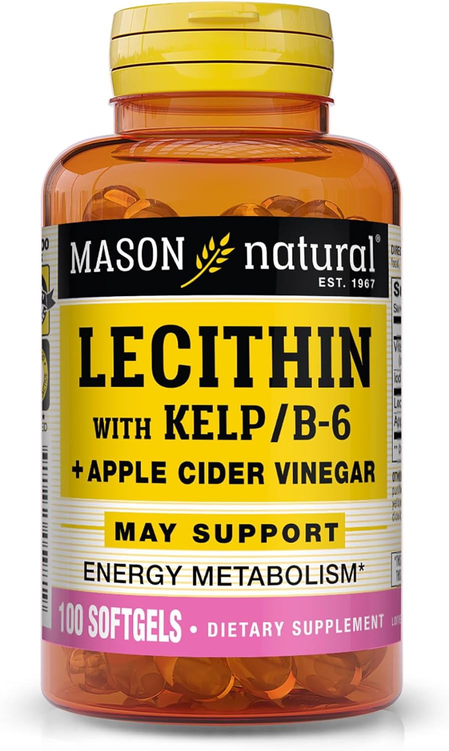 MASON NATURAL Lecithin with Kelp/Vitamin B6 Plus Apple Cider Vinegar