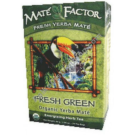 MATE FACTOR Fresh Green Organic Yerba Mate 24 BAG (Pack of 1)