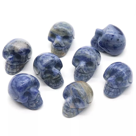 MATROOY 10pcs 1in Natural Sodalite Stone Mini Small Skull Carved Skull Reiki Healing