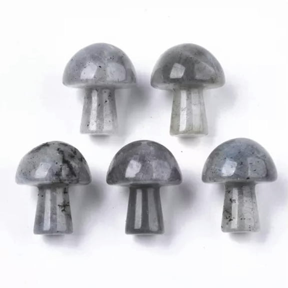 MATROOY 10pcs Mini Crystal Mushroom Gemstone Stones Sculpture Decor Hand Making 21x16mm-Labradorite