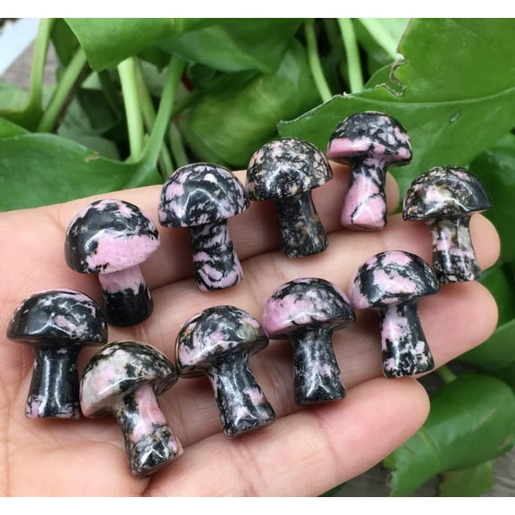 MATROOY 10pcs Natural Rhodonite Jasper Mushroom Quartz Crystal Skull Carved Reiki Gem 1"