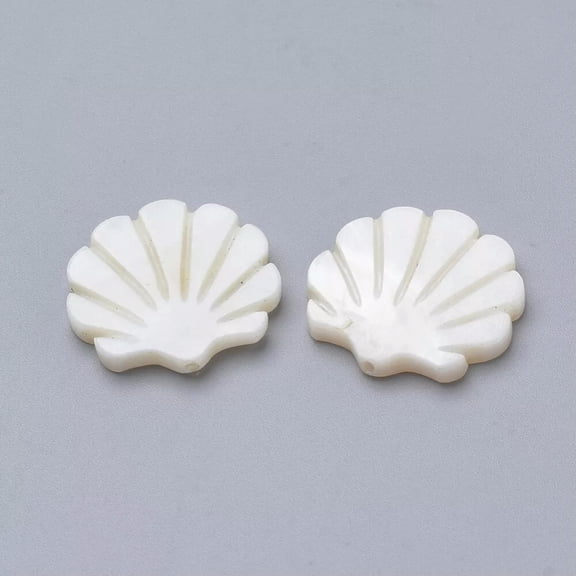 MATROOY 10pcs Natural Scallop Shell Beads Beach Sea Shells Creamy White 19.5x20x3mm