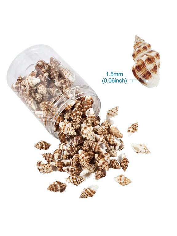 160pcs/box Spiral Shell Pendants Spiral Seashells Beads Charms with Hole
