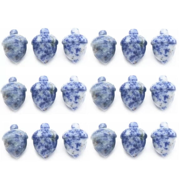 MATROOY 20PCS Natural Sodalite Stone Quartz Hand Carved Pine Nuts Crystal Healing Random