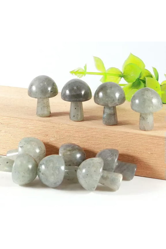20pc Mini Natural Crystal Polished Mushroom Statue Stone Healing Decoration Gift-Labradorite
