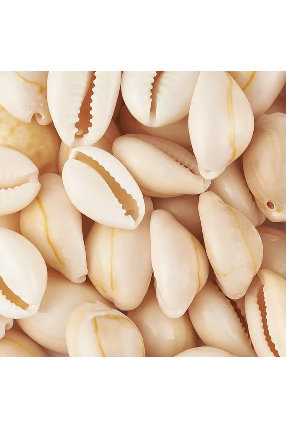 50PCS Tiny Cowrie Shell Beads Seashells Craft Charms Jewelry Decoration