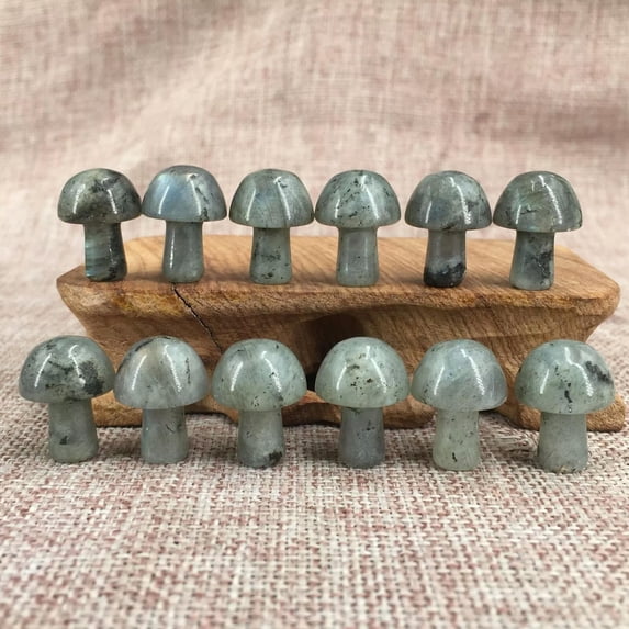MATROOY 50pcs Labrador stone Natural Quartz Mushroom Crystal Massage Healing 15mm+