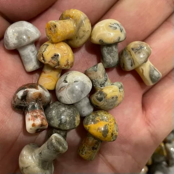 MATROOY 50pcs Mini Natural Yellow Crazy Agate Mushroom Hand Carved Crystal Healing