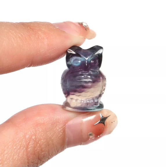 MATROOY 5PCS Natural Fluorite Owl Carved Gift Quartz Mini Crystal Skull Reiki Healing