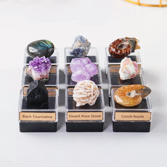 MATROOY 9pcs Natural Mixed Quartz Geode Druzy Crystal Cluster Healing Specimen Decor