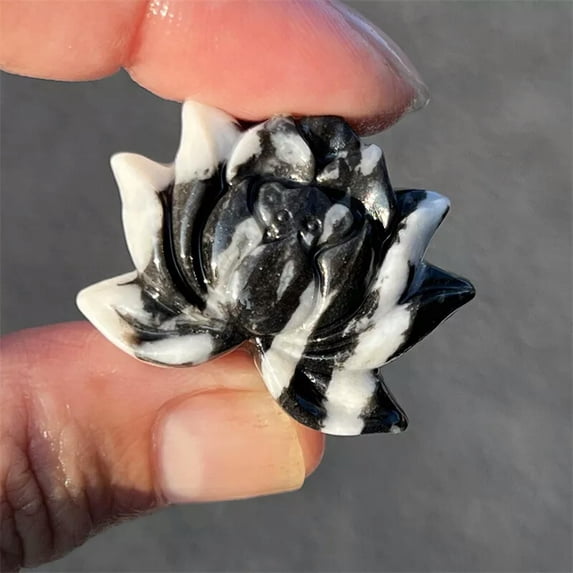 MATROOY Natural Black Zebra stone Lotus flower skull Quartz Crystal Skull Healing 1PC