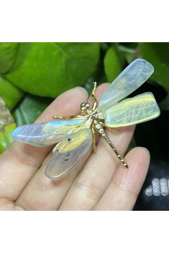 Natural Quartz Dragonfly skull Quartz Crystal Hand DIY Skull Reiki Healing Gift-10PCS-Labradorite