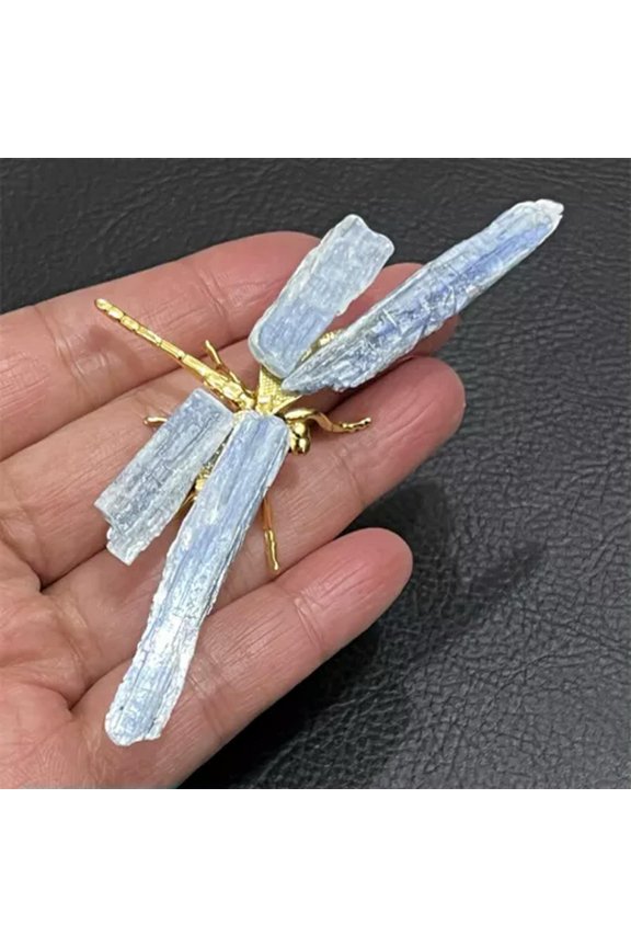 Natural Quartz Dragonfly skull Quartz Crystal Hand DIY Skull Reiki Healing Gift-5PCS-kyanite-2