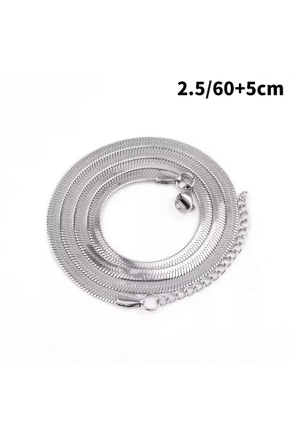 Personality Simple All-Match Clavicle Chain Titanium Steel Flat Snake Bone Chain-Silver-2.5-60CM