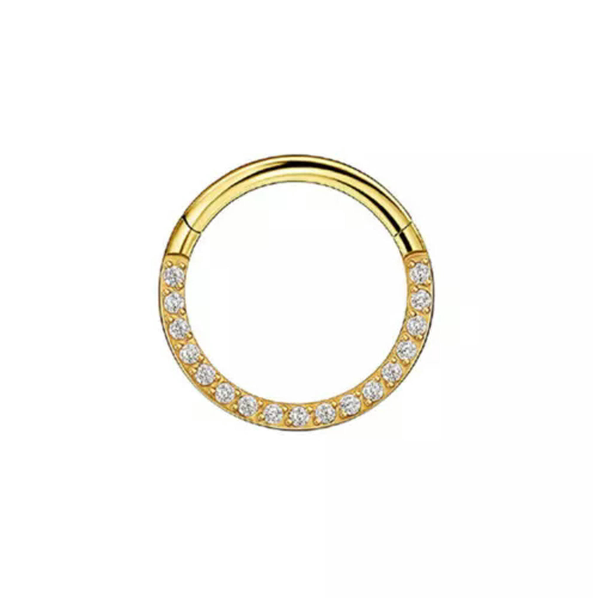 MATROOY Titanium CZ Crystal Septum Clicker Hinged Segment Hoop Ear ...