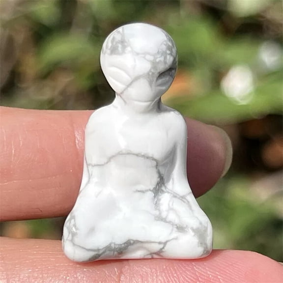 MATROOY Top Natural Howlite Aliens skull Quartz crystal skull Figurines Healing 1PC