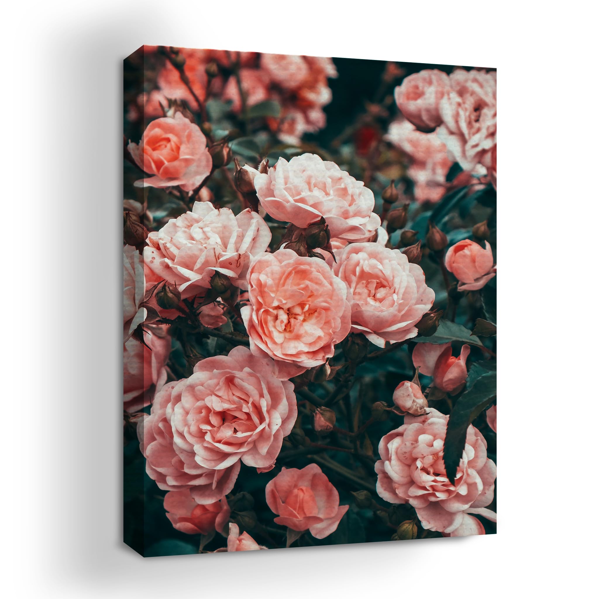 MAVIS PRINT Pink Rose Canvas Wall Art 18x24 inches Floral Wall Decor ...