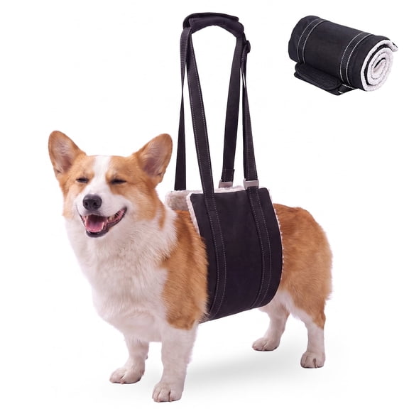 MAXLAPTER Adjustable Dog Life Harness for Walking, Breathable, Lightweight Design, M
