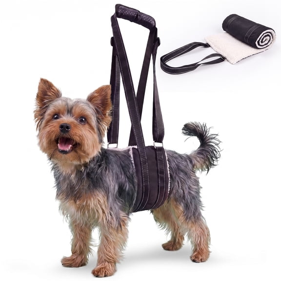 MAXLAPTER Dog Life Harness for Comfort & Support, Ideal for Daily Walks and Outdoor Activities, S