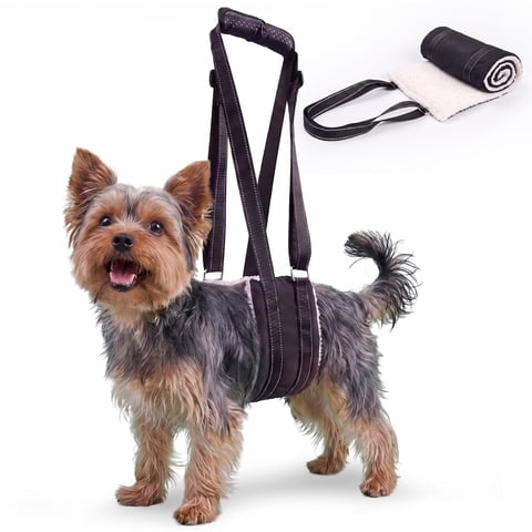 MAXLAPTER Dog Life Harness for Comfort & Support, Ideal for Daily Walks and Outdoor Activities, S