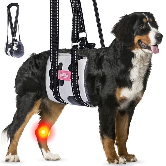 MAXLAPTER Dog Lift Harness for Large, Medium, and Small Dogs, Dog Sling Support Harness Rear for Back Legs Senior Assist Hip Recovery Black White (L)