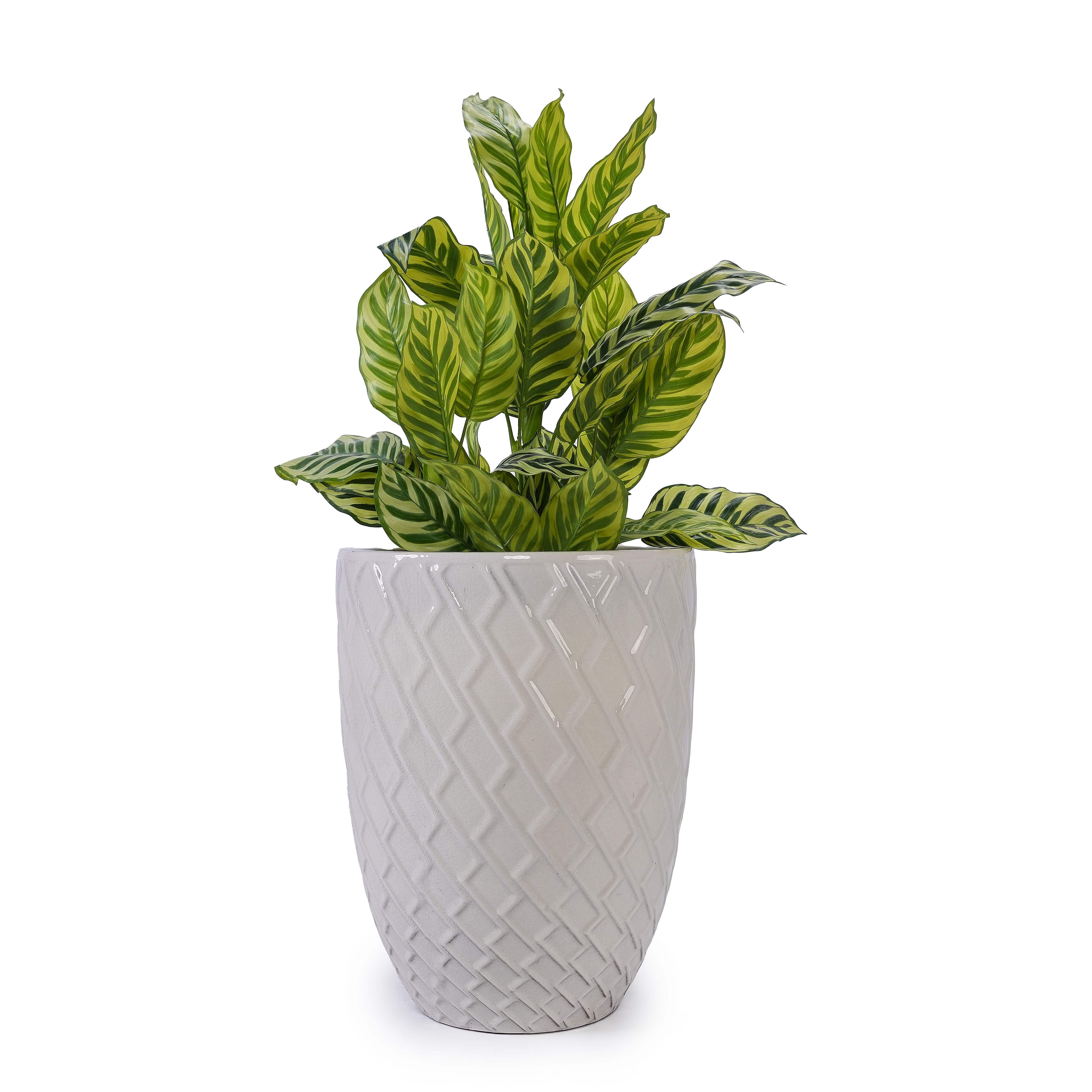 MAYEERTY 1 Pack Ceramic Planter Pot, Planter for Indoor Outdoor Patio, Garden, White