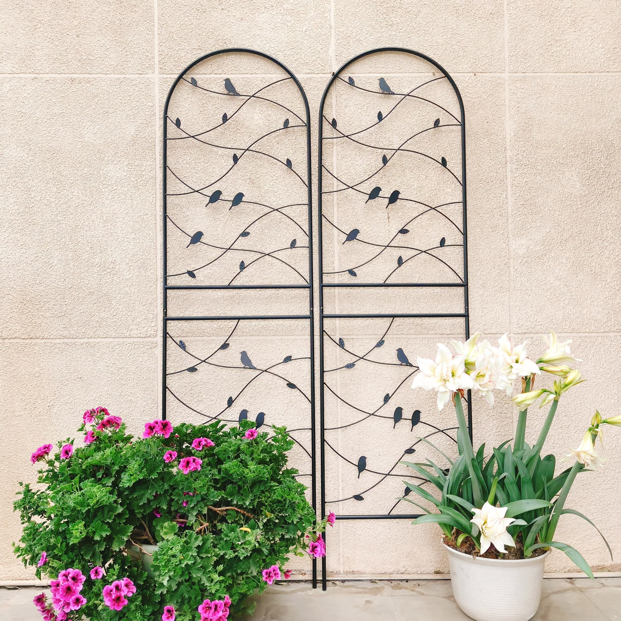 MAYEERTY 2 Pack Metal Garden Trellis 71 x 19.7 Inch Rustproof Climbing Plants Support Bird Deco Black Outdoor Flower