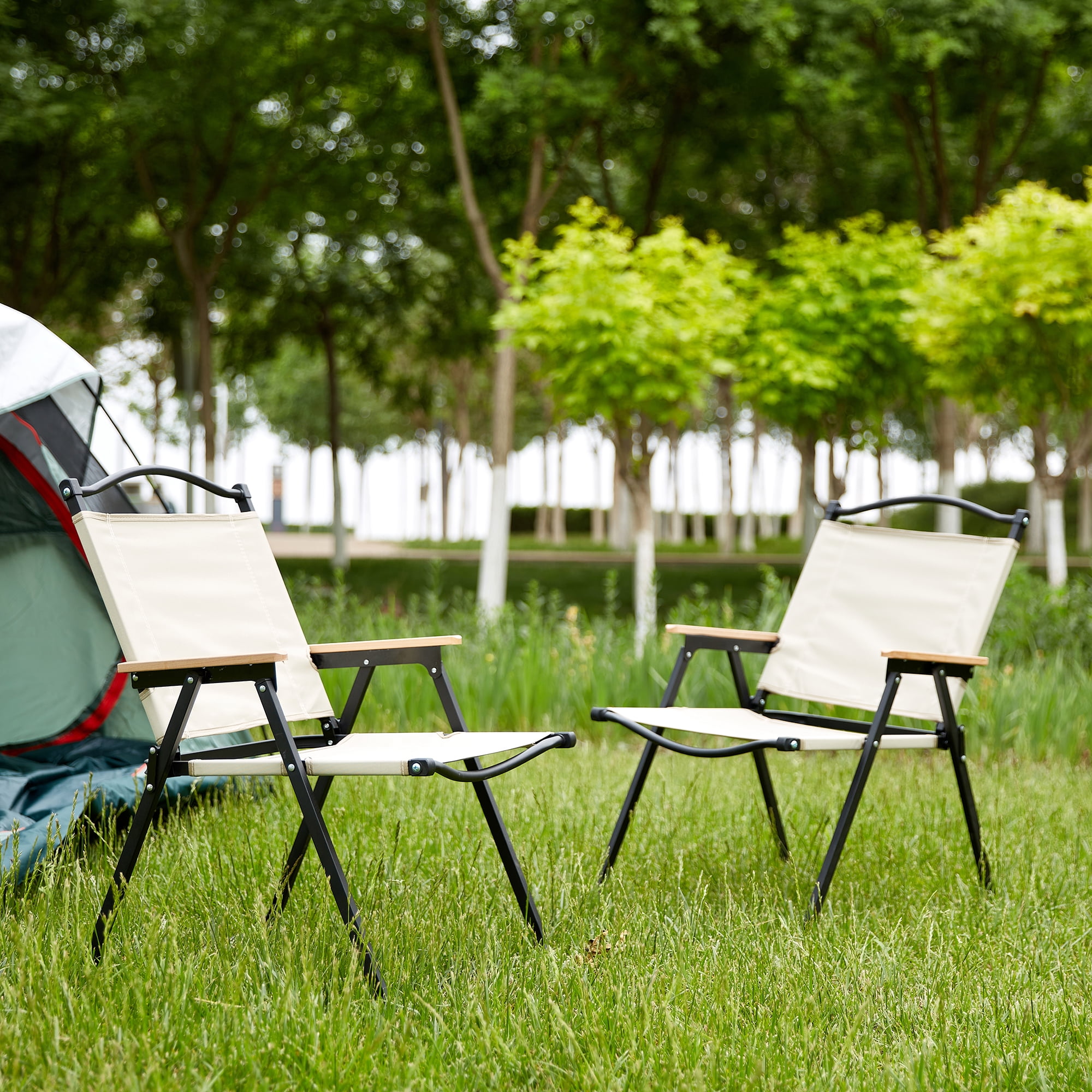 MAYEERTY 2-Piece Folding Outdoor Chair with Armrests and Anti-Slip Feet