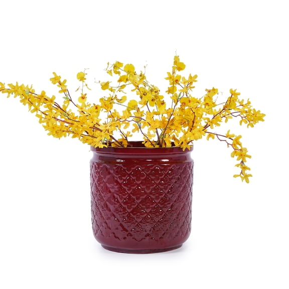 MAYEERTY 3 Pack Ceramic Plant Pots, Planter for Indoor Outdoor Patio, Garden, Red