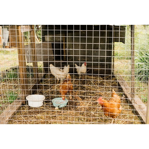 MAYEERTY Hardware Cloth 1/2 inch 48in x 100ft 19 Gauge, Hot-dip Galvanized After Welding Chicken Wire Fence Roll Garden Plant Welded Metal Wire Fencing Roll, Rabbit Cages Snake Fence