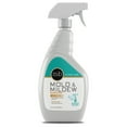 thumbnail image 1 of MB Stone Care - MB-9 Mold & Mildew Stain Remover (1 Quart / 32 fl oz) (For Cleaning Granite, Marble, Limestone and Travertine), 1 of 1